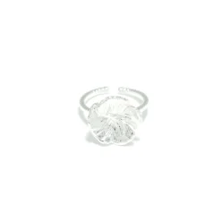 Bague Argenté Paris