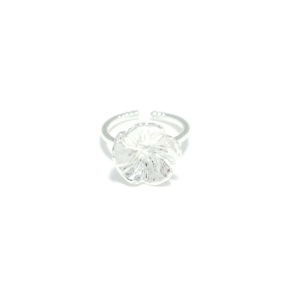 Bague Argenté Paris