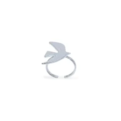 Bague Argenté Voyage