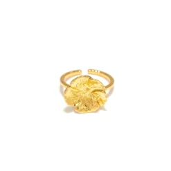 Bague doré Paris