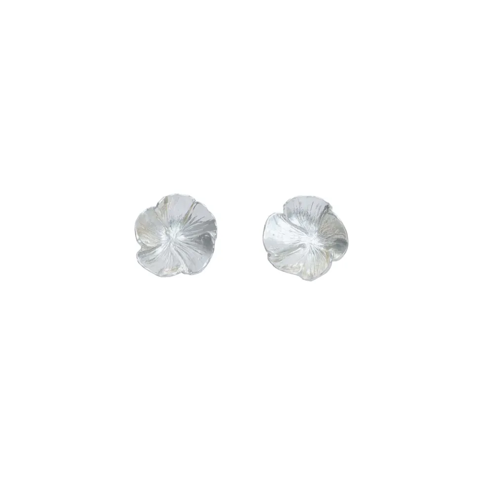 Boucles D'oreilles Clips Argenté Paris