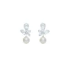 Boucles D'oreilles Clips Argenté Végétal