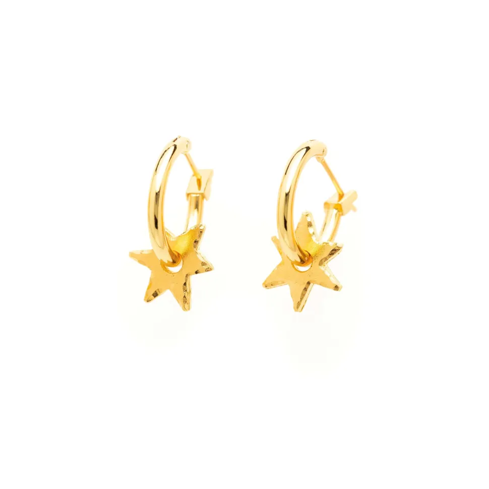 Boucles d’oreilles doré Charms