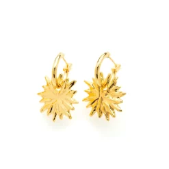 Boucles d’oreilles doré Charms