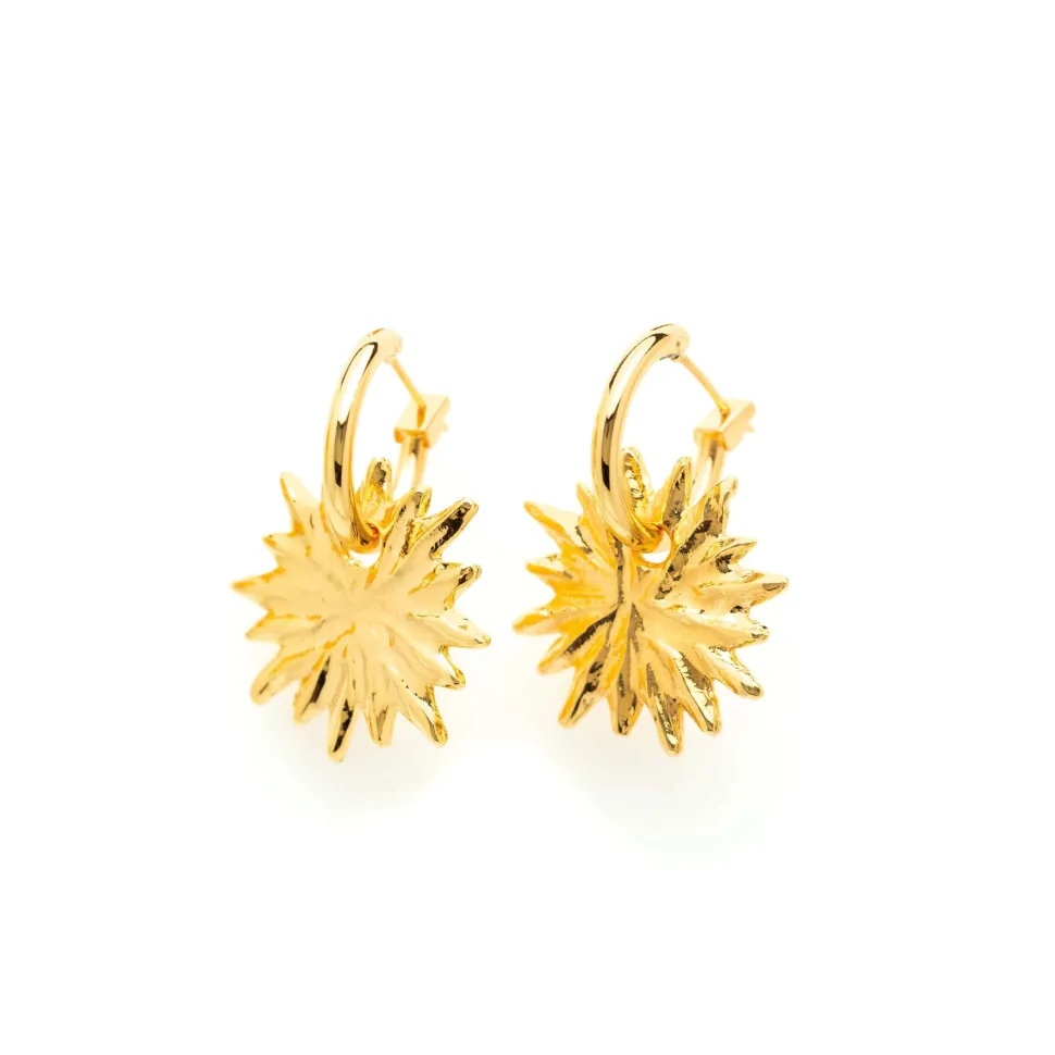 Boucles d’oreilles doré Charms
