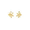 Boucles D'Oreilles Percées Doré Végétal