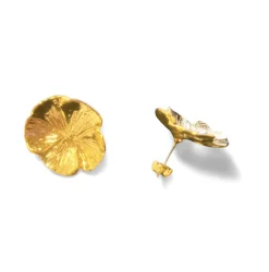 Boucles D'oreilles Percées Paris