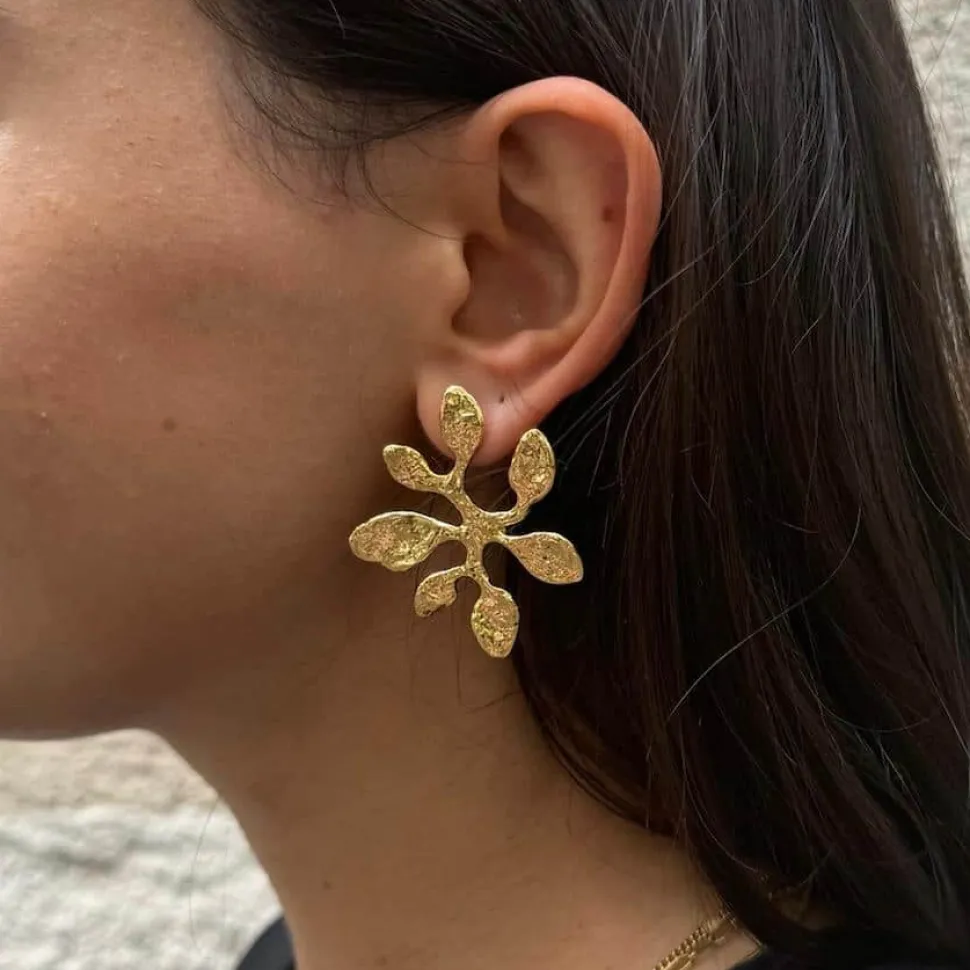 Boucles D'Oreilles percées Végétal